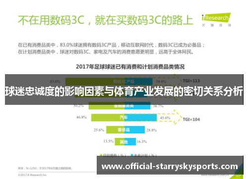 球迷忠诚度的影响因素与体育产业发展的密切关系分析