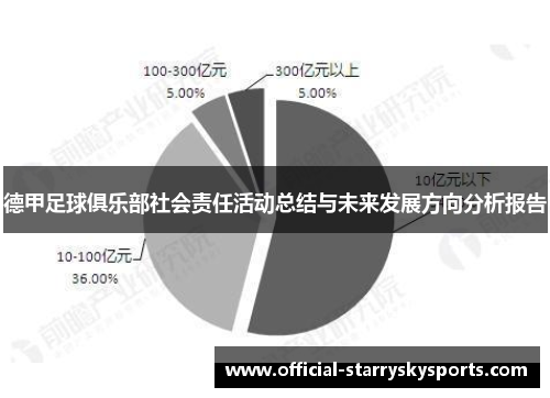 德甲足球俱乐部社会责任活动总结与未来发展方向分析报告