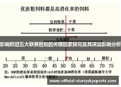 影响欧冠五大联赛胜利的关键因素探究及其深远影响分析