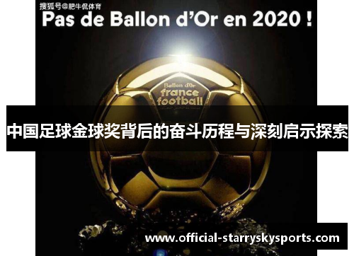 中国足球金球奖背后的奋斗历程与深刻启示探索