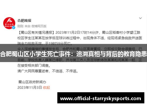 合肥蜀山区小学生死亡事件：追溯真相与背后的教育隐患