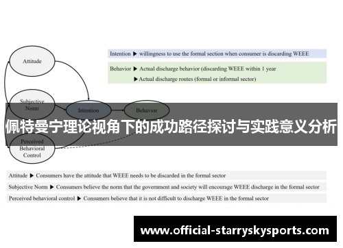 佩特曼宁理论视角下的成功路径探讨与实践意义分析